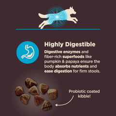 Wellness CORE ingrédients whitefish illustrant protéine digestible