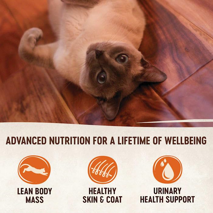 Wellness CORE comparaison d'échelle montrant taille 79 g par boîte, portion contrôlée