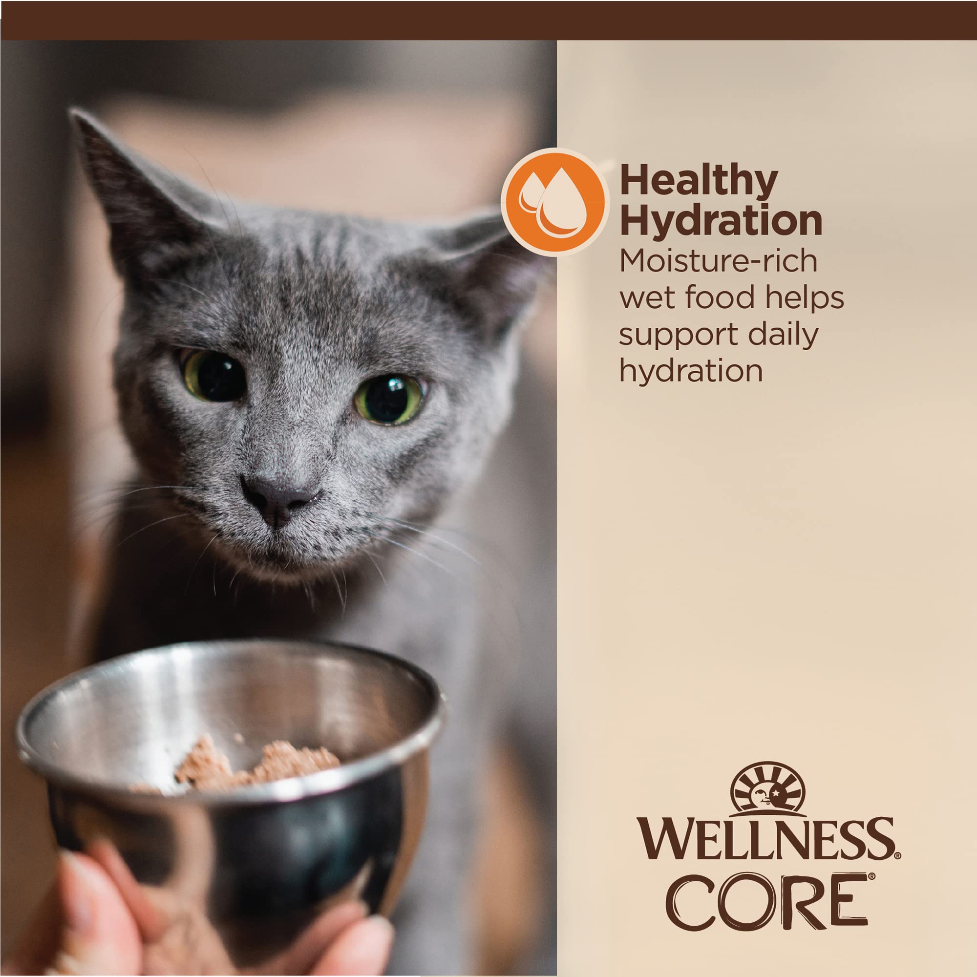 Wellness CORE étiquette ingrédients, transparence et ingrédients naturels