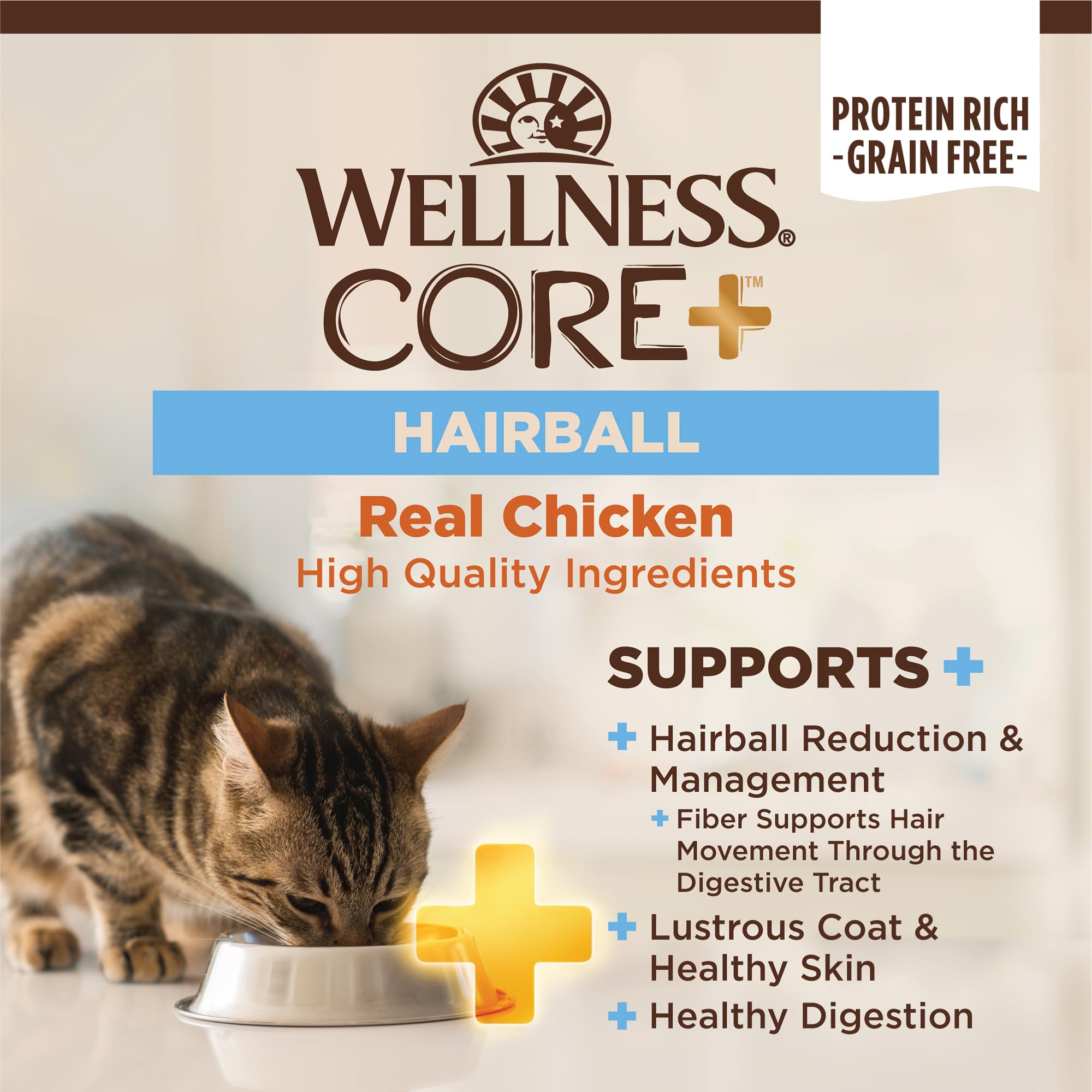 Wellness gros plan sur croquettes pour apprécier texture et qualité protéique