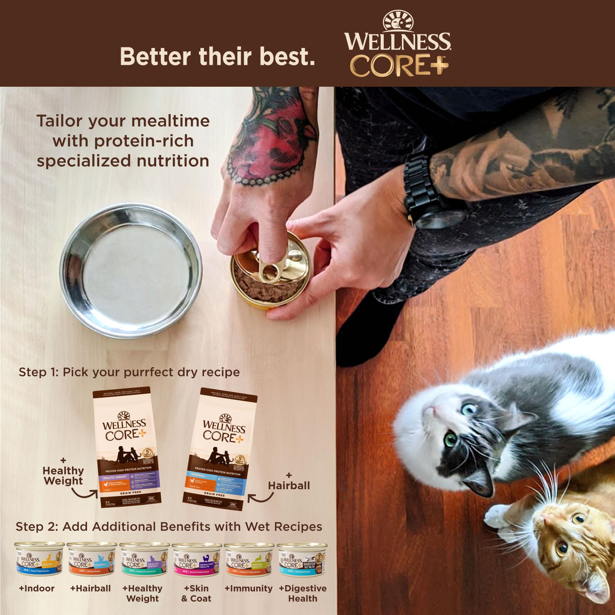 Wellness scène de salon avec chat heureux démontrant peau saine et pelage brillant