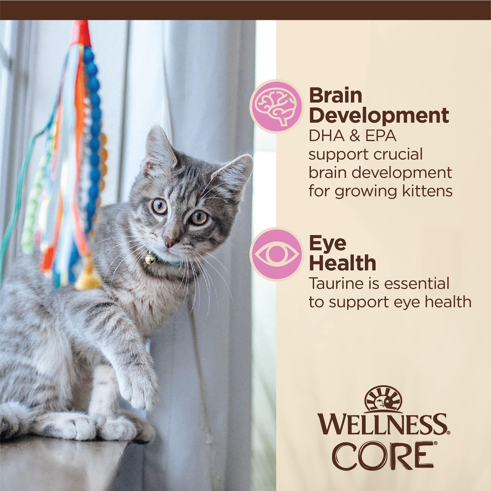 wellness CORE ingrédients poulet illustrant protéines de qualité