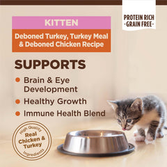 Wellness CORE Kitten gros plan croquettes montrant texture riche et appétence