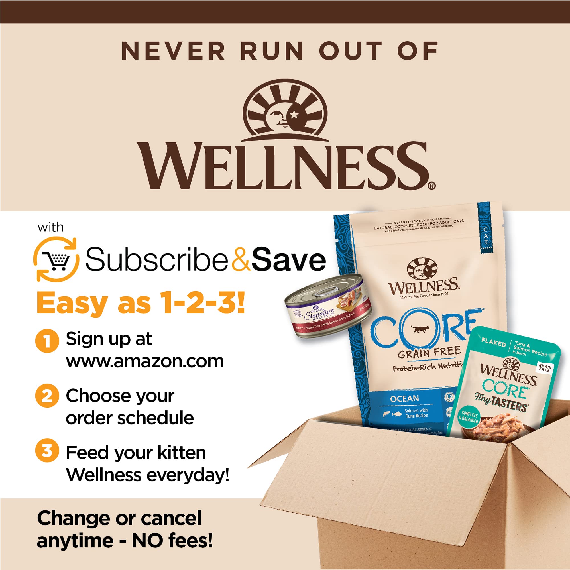 Wellness CORE cadre lifestyle en cuisine, repas quotidien pratique et sain