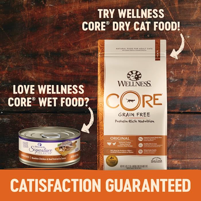 Wellness CORE mise en situation avec chat appréciant la pâtée, plaisir de manger