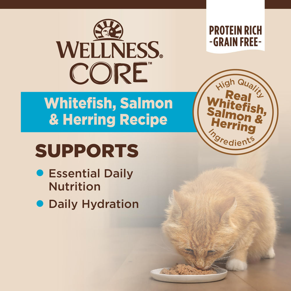 Wellness pâté servie dans une assiette propre pour une présentation appétente