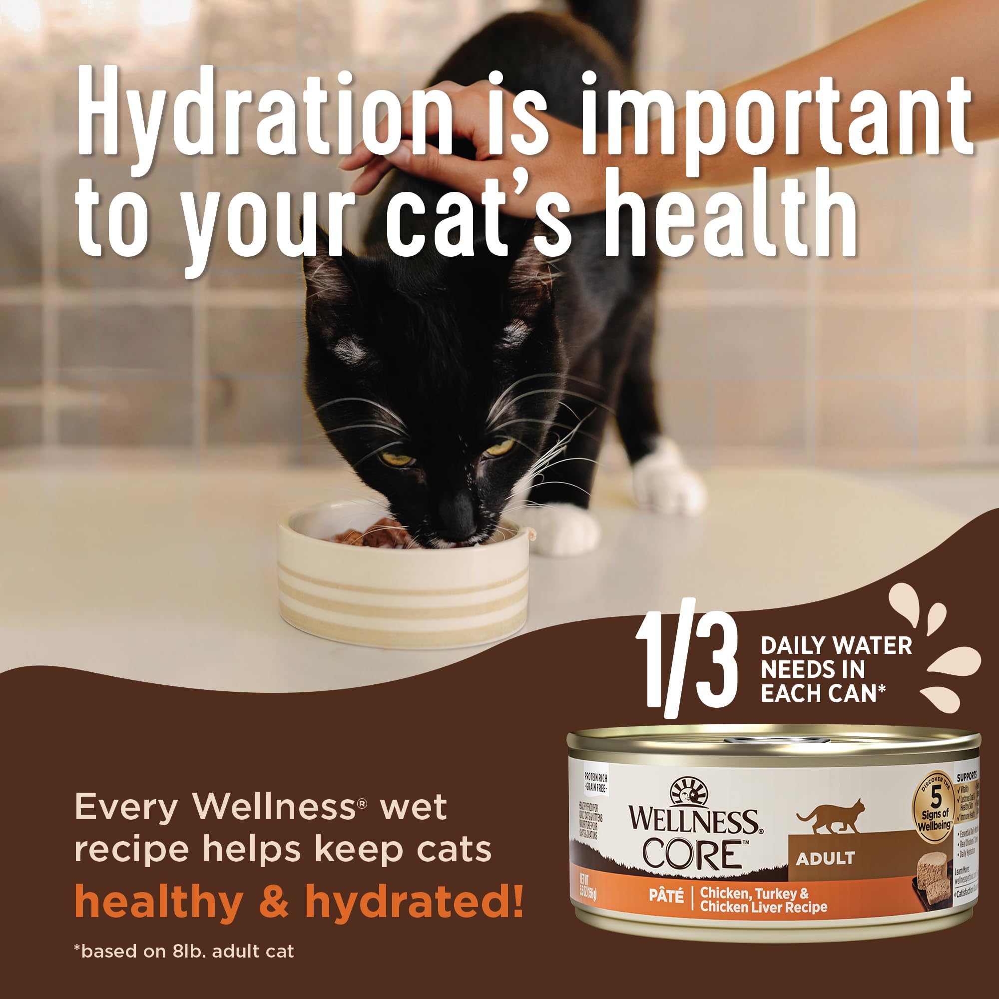 Wellness portion servie en assiette favorisant appétence et hydratation