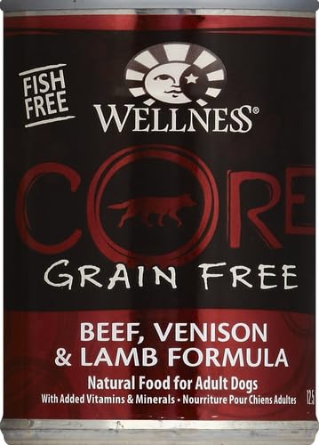 Wellness CORE pâté servi dans une assiette, favorise appétit du chien