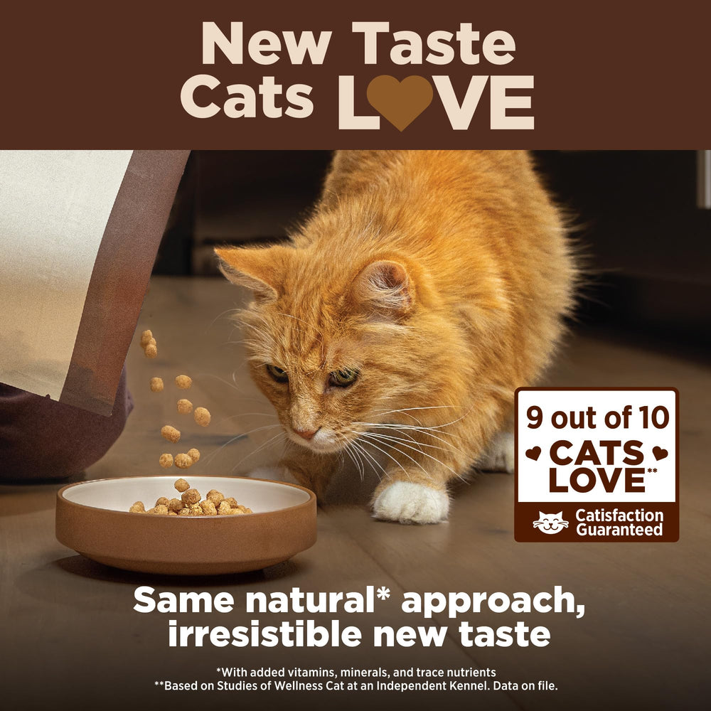 Wellness bol plein utilisé montrant appétence du chat et satisfaction au repas
