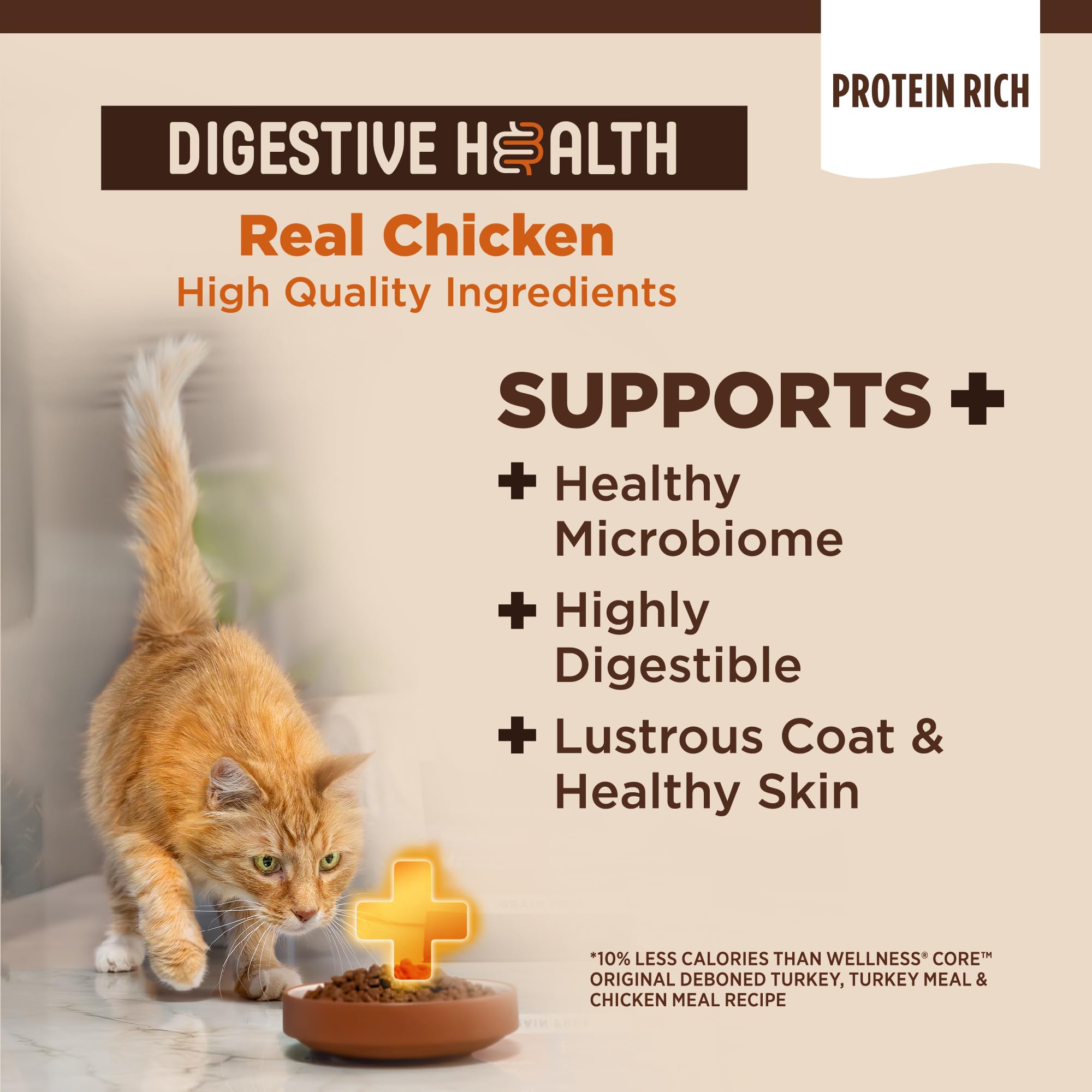 Wellness gros plan sur la croquette montrant texture et appétence pour une meilleure digestion