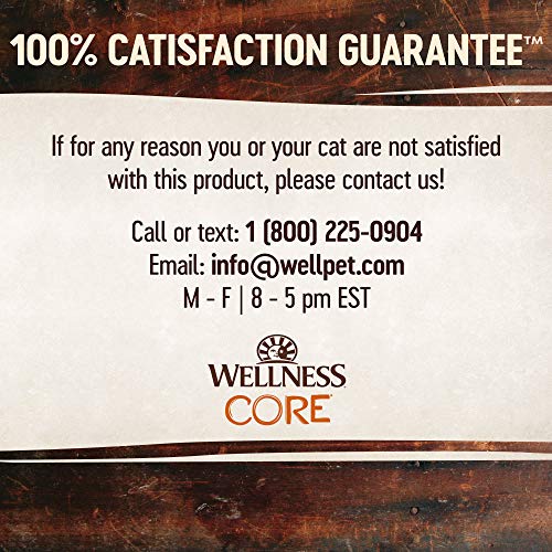 Wellness mise en situation quotidienne pour repas rapide et net