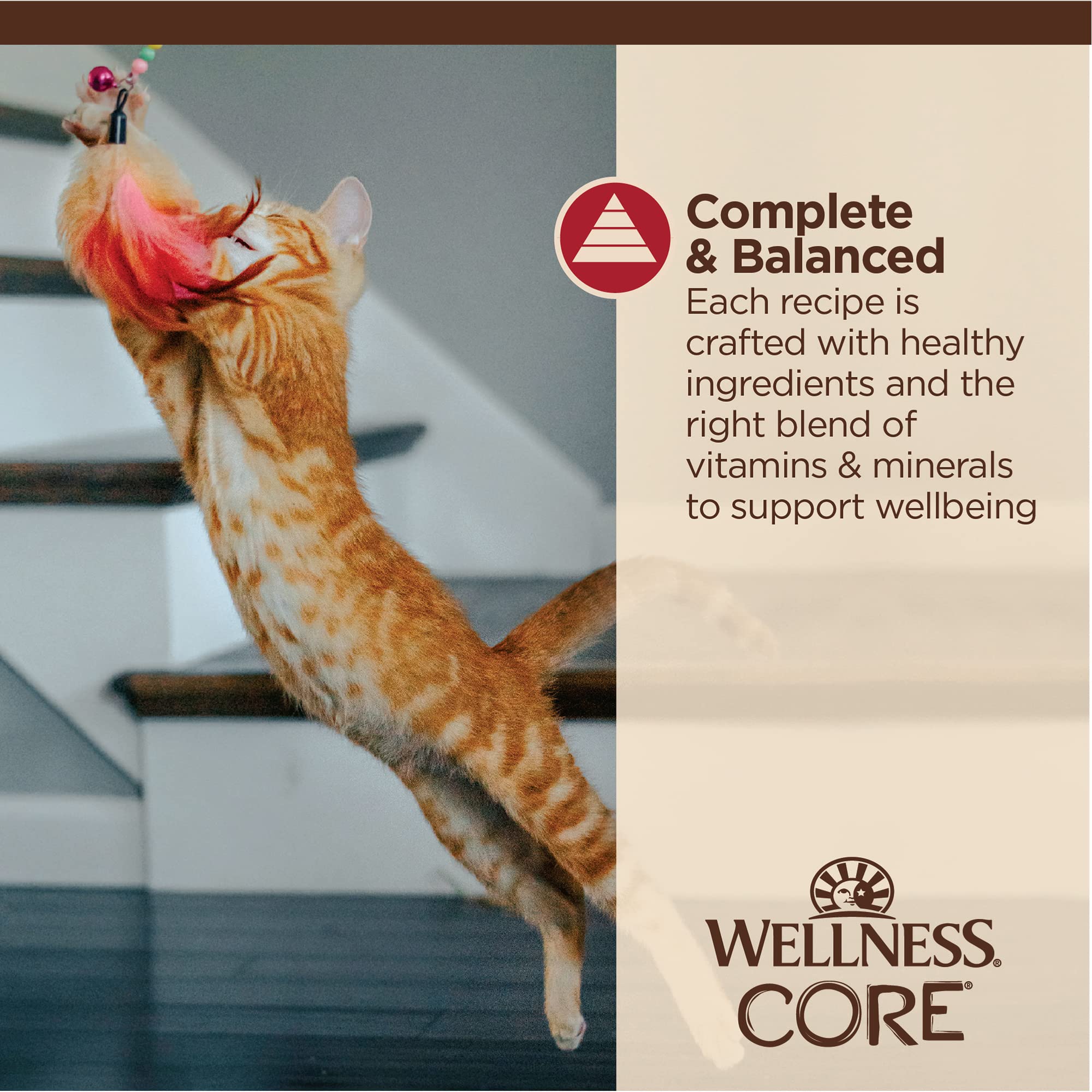 Wellness CORE portion pressée sur une assiette, service sans ustensile