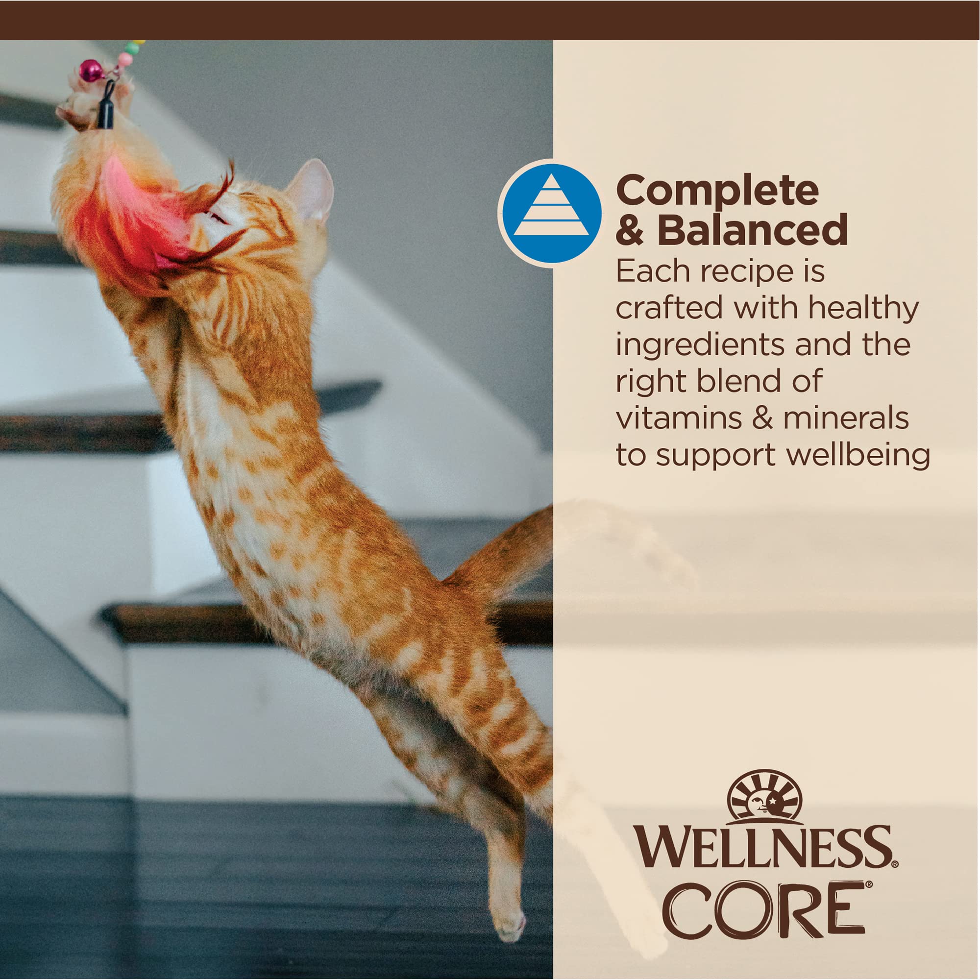 Wellness CORE gros plan sur texture flocons de thon et crevettes très appétente