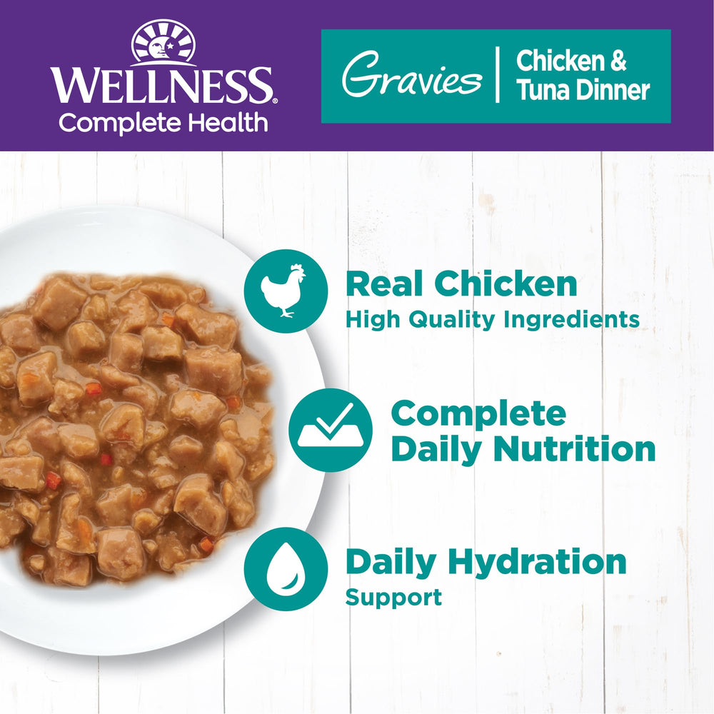 Wellness Gravies gros plan sur la sauce onctueuse et morceaux, illustre appétence et texture