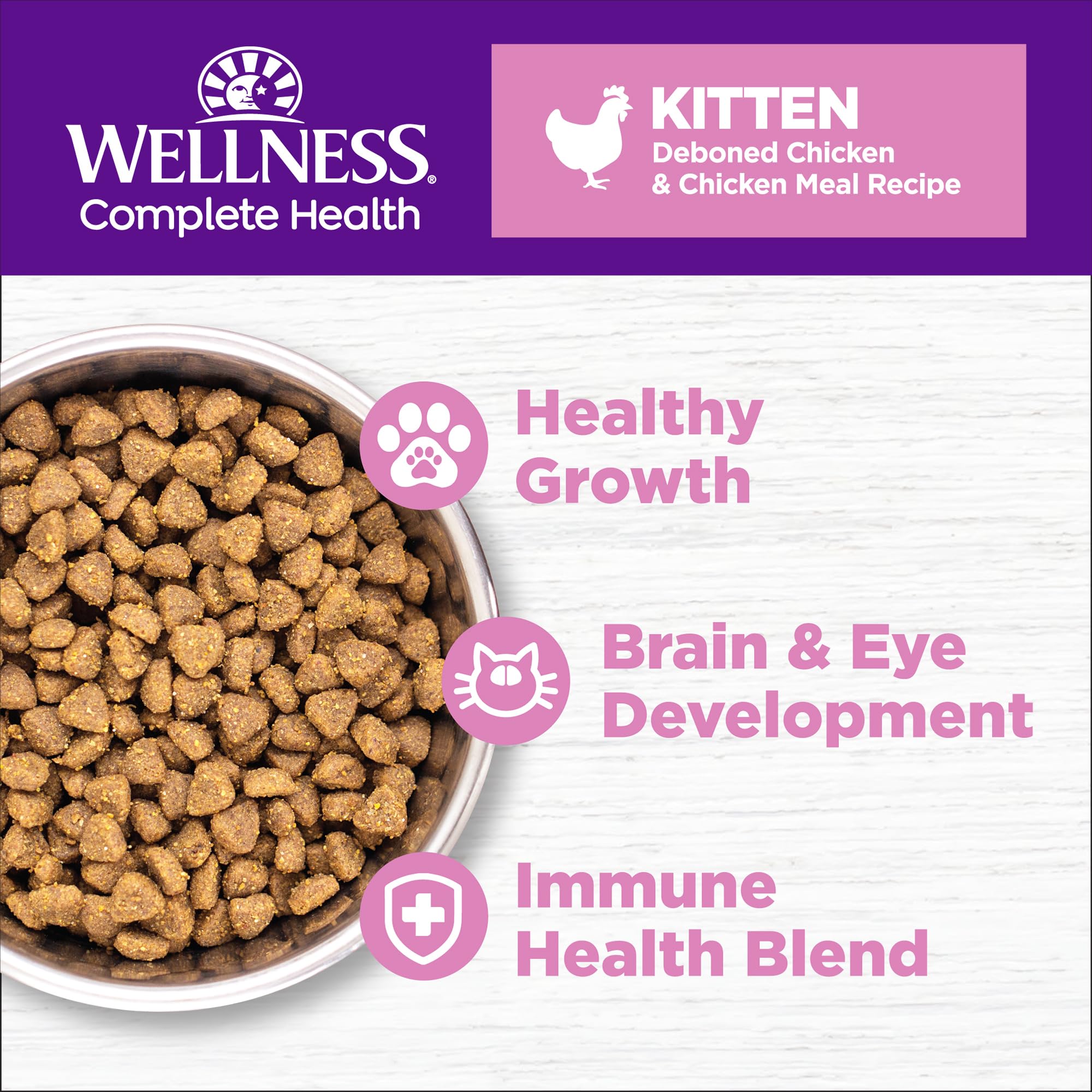 Wellness gros plan des croquettes illustrant texture et apport protéique de qualité