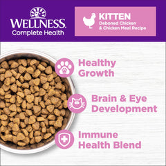 Wellness gros plan des croquettes illustrant texture et apport protéique de qualité