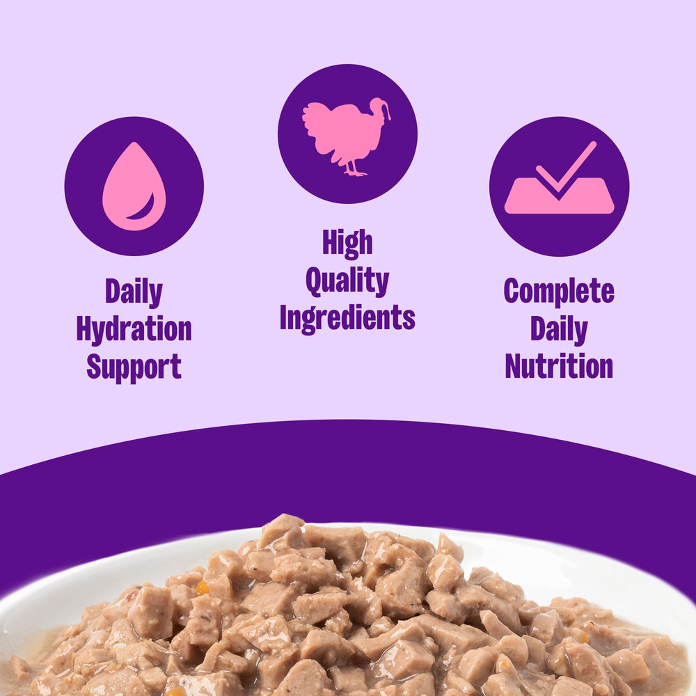 Wellness gros plan sauce onctueuse pour appétence accrue