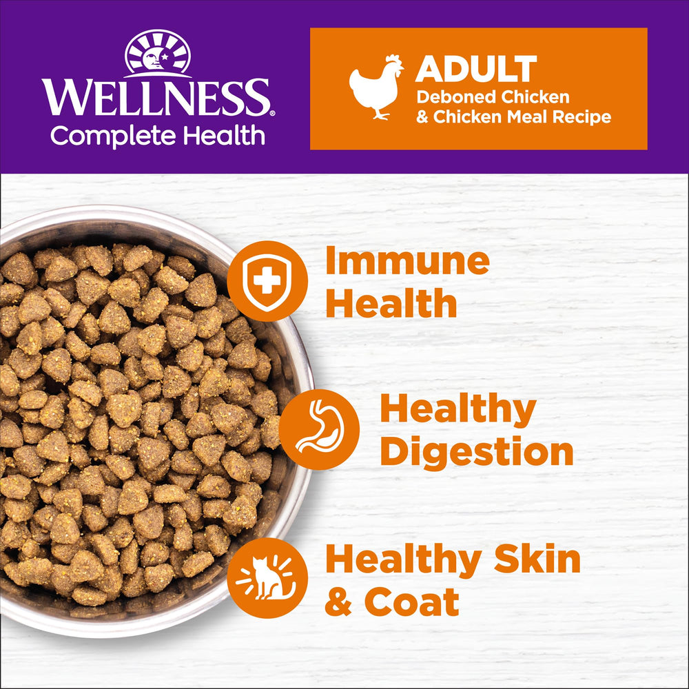 Wellness gros plan sur la texture des croquettes montrant appétence