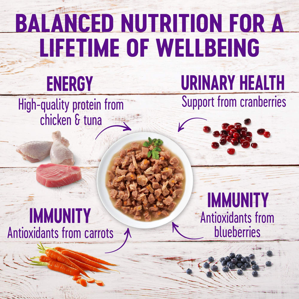 Wellness gros plan sur morceaux tendres montrant appétence accrue