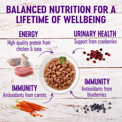 Wellness gros plan sur morceaux tendres montrant appétence accrue