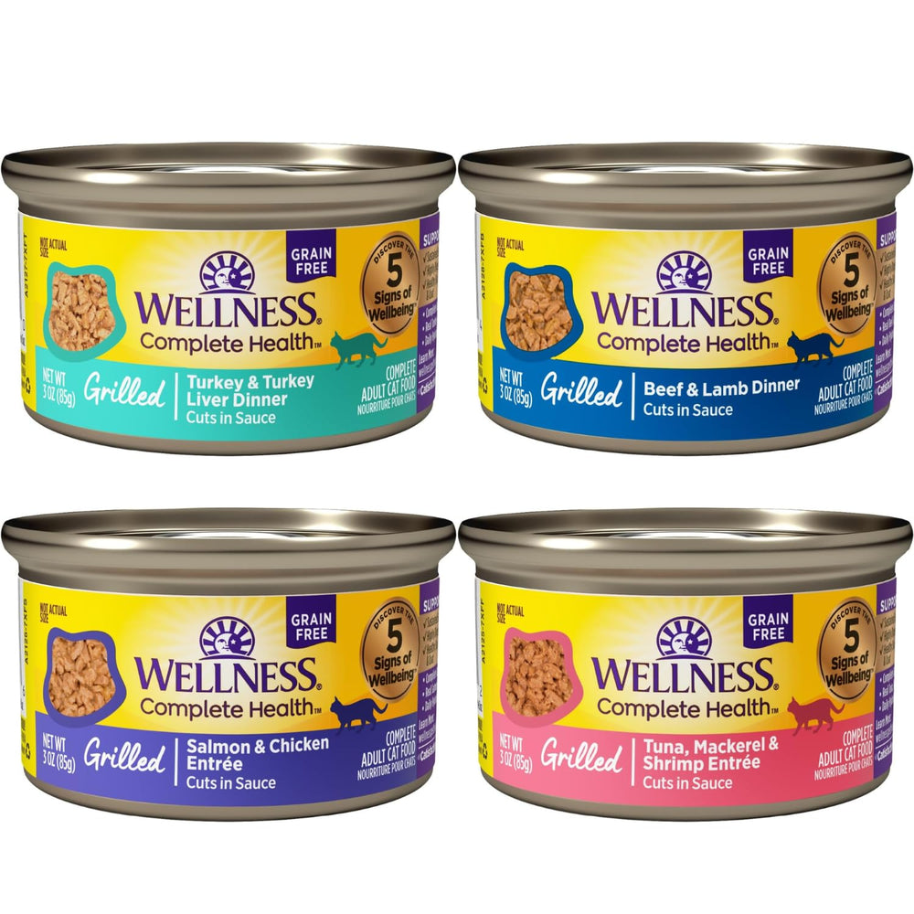 Wellness gros plan texture en sauce qui stimule l'appétit du chat