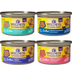 Wellness gros plan texture en sauce qui stimule l'appétit du chat