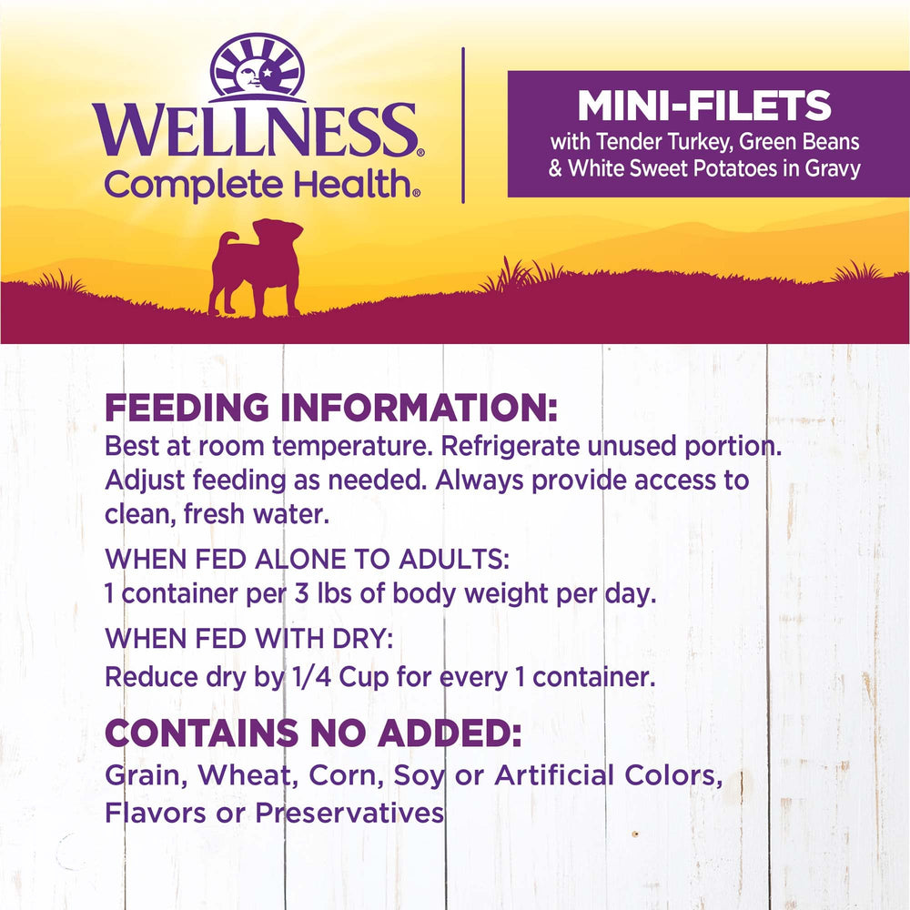 Wellness chiot de petite race mangeant montrant appétit et satisfaction