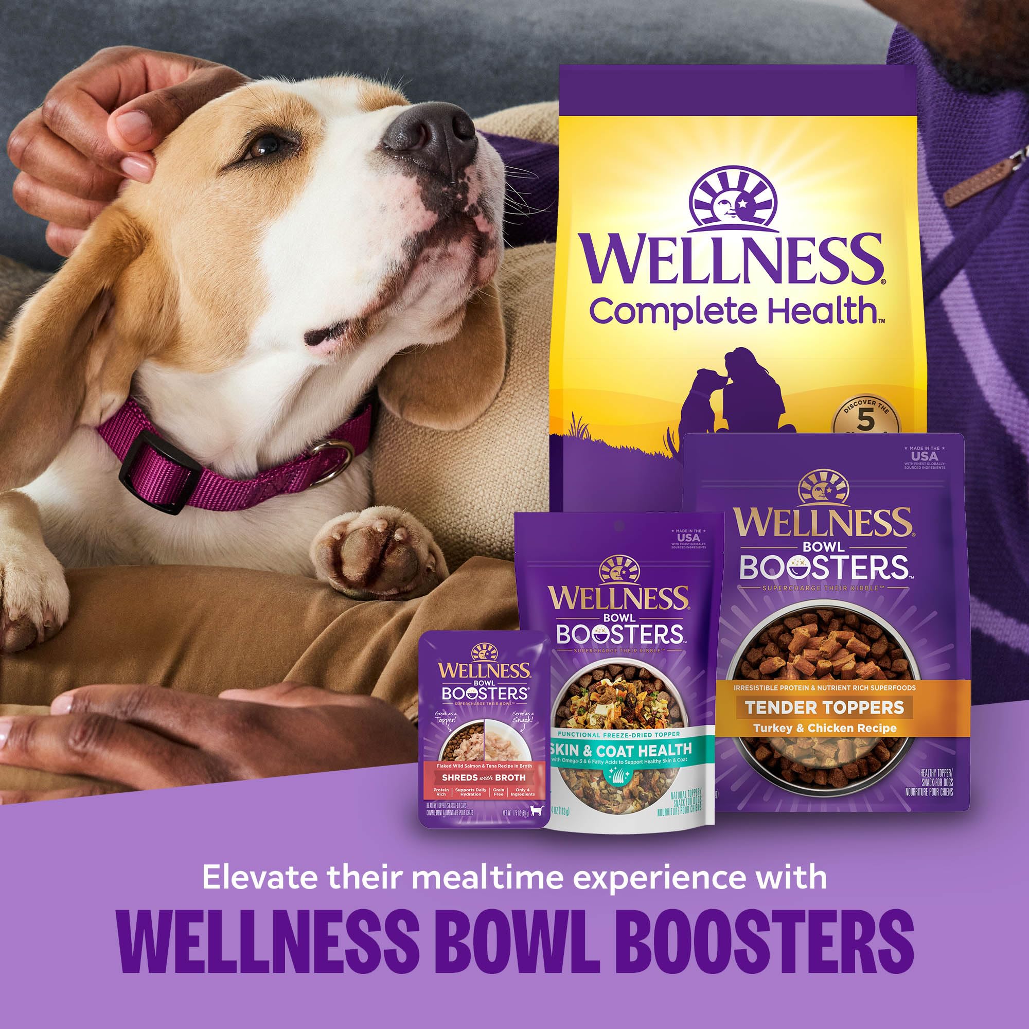 Wellness mise en scène famille avec chien appréciant le topping, moment convivial