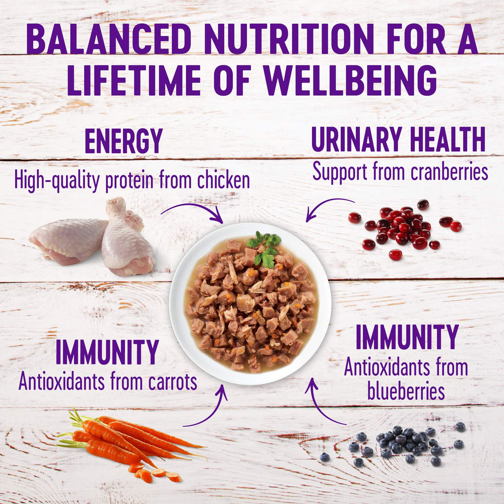 Wellness gros plan des morceaux en sauce, appétence visible