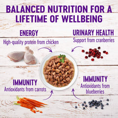 Wellness gros plan des morceaux en sauce, appétence visible