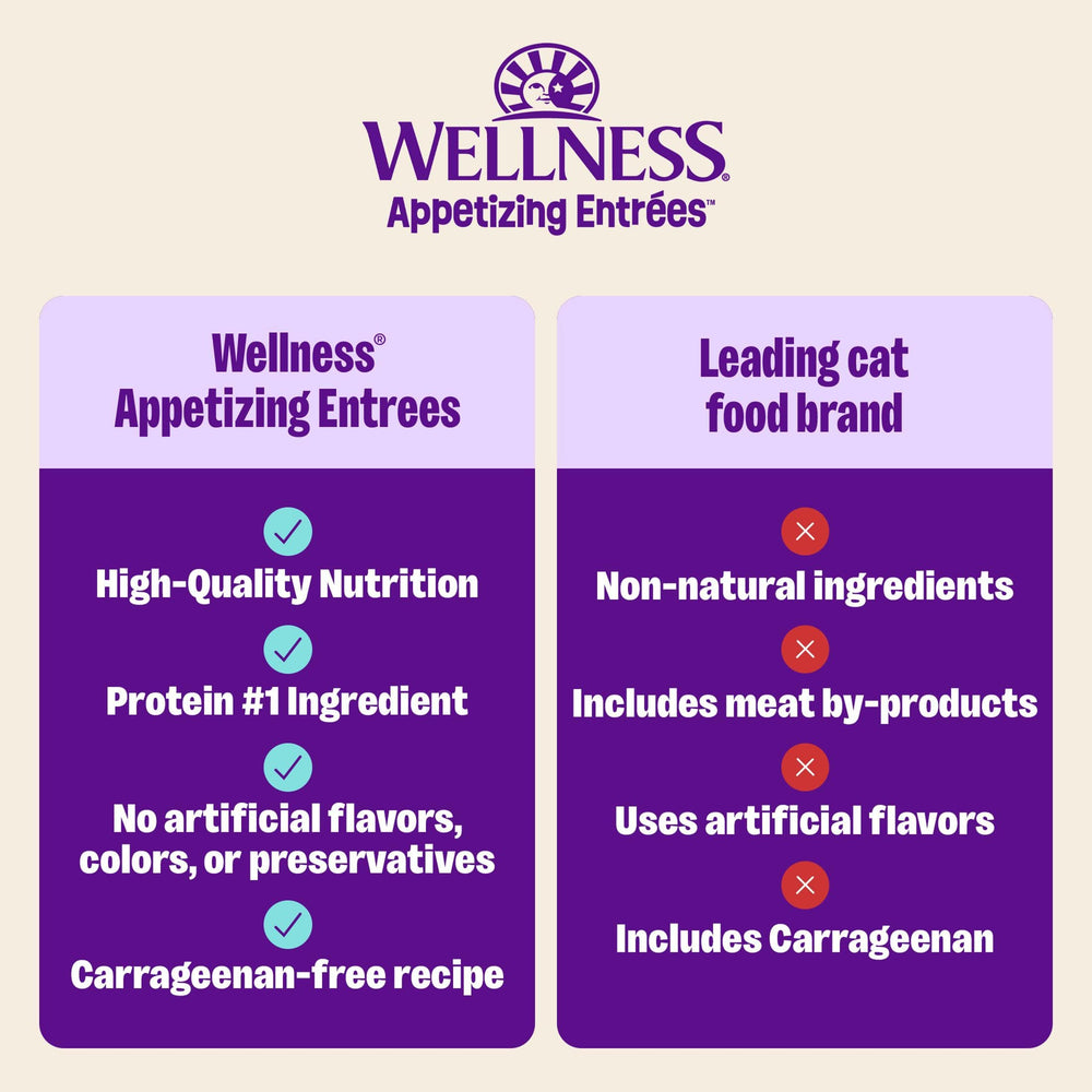 Wellness chat mangeant la mousse apportant hydratation et plaisir