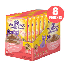 Wellness texture mousse fouettée visible, attrait pour chats difficiles