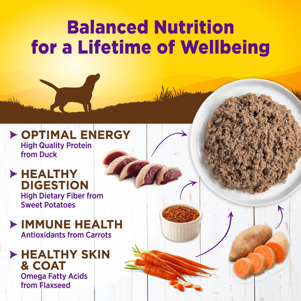 Wellness pâté canard portion servie sur assiette montrant contrôle des portions