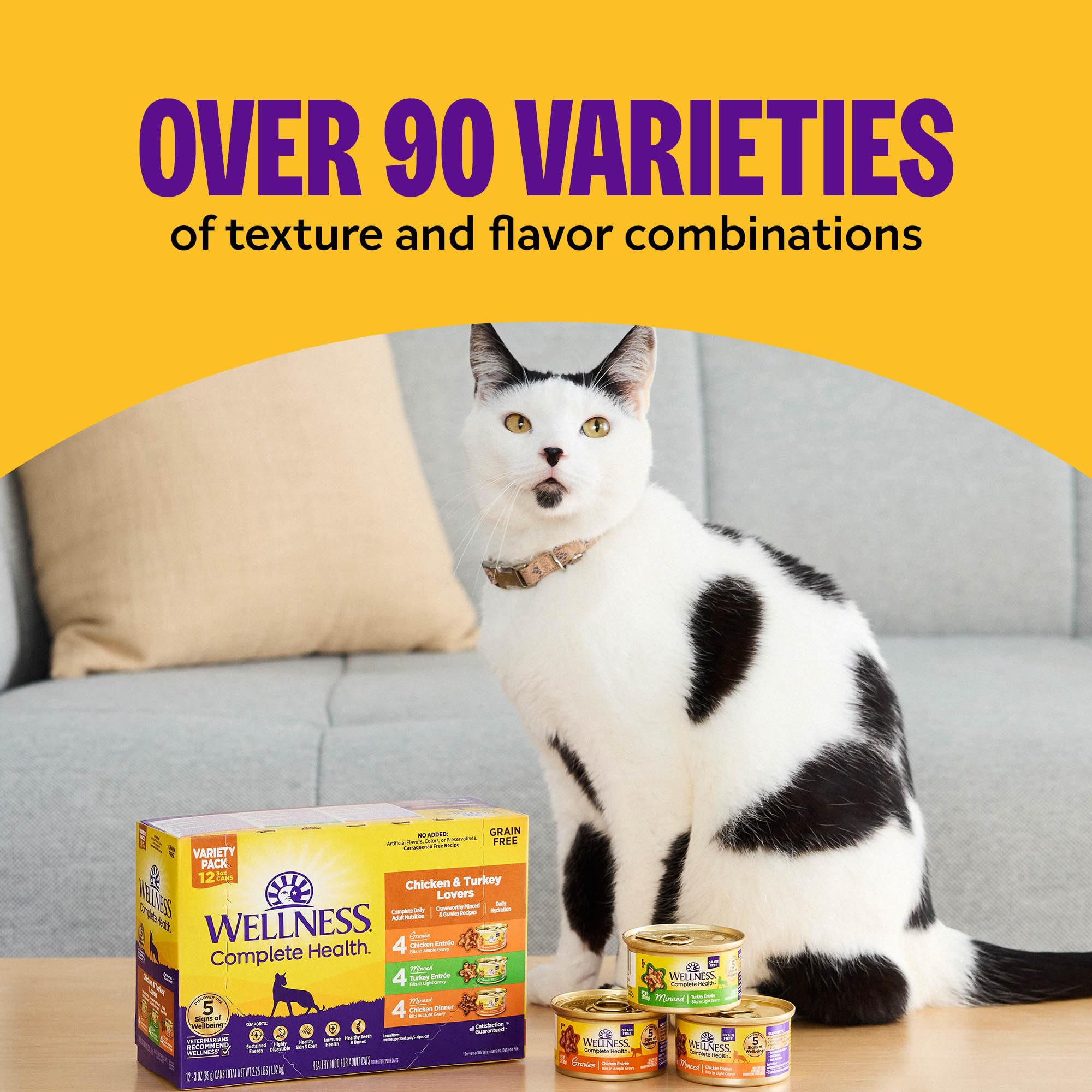 Ingrédients naturels dinde présentés avec Wellness pour qualité protéique