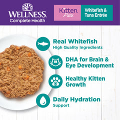 Wellness gros plan texture pâté mettant en valeur appétence et qualité