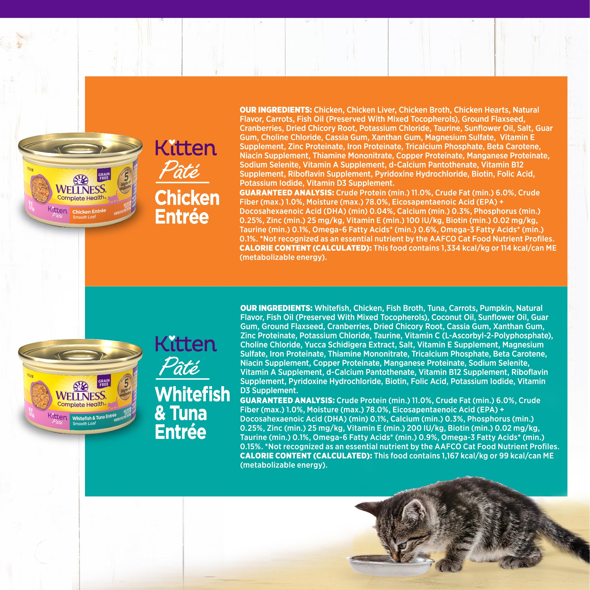 Wellness chaton en train de manger la pâté montrant appétence et acceptation par le jeune animal