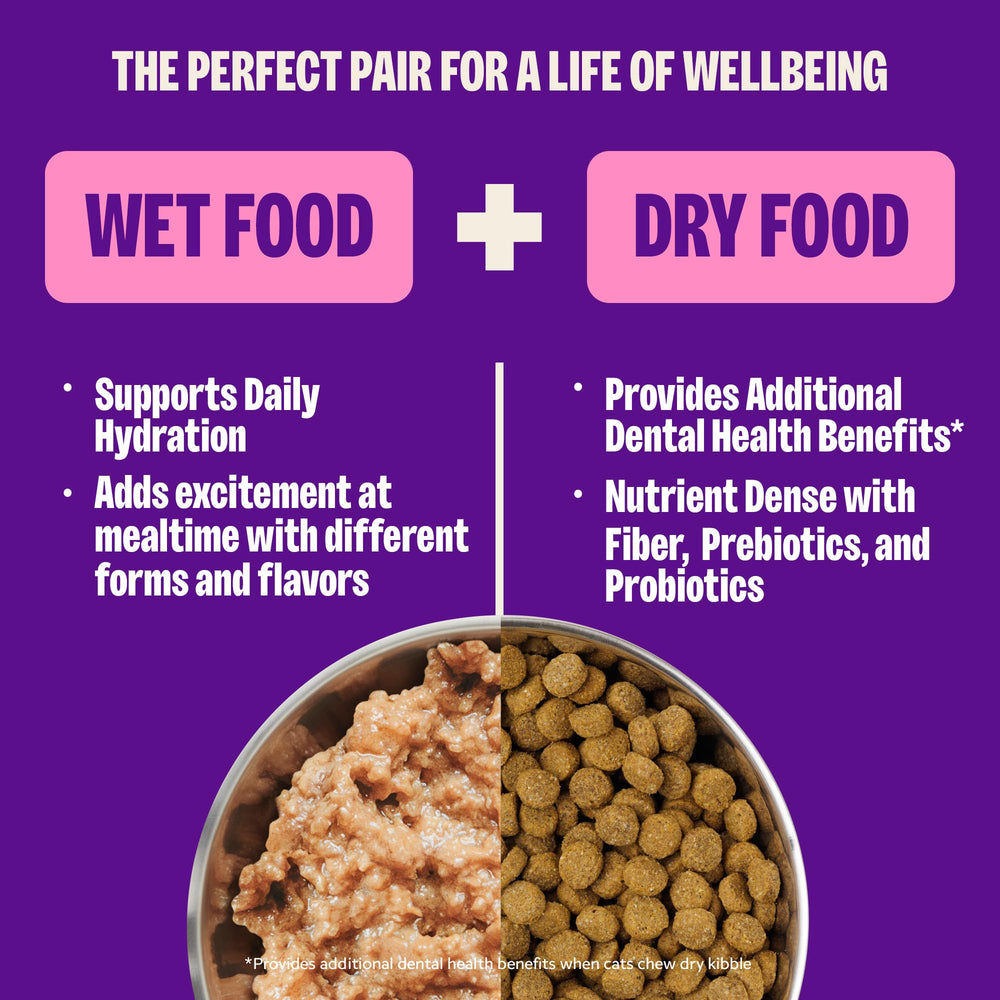 Wellness pâtée servie dans une assiette pour chat, favorise l’hydratation
