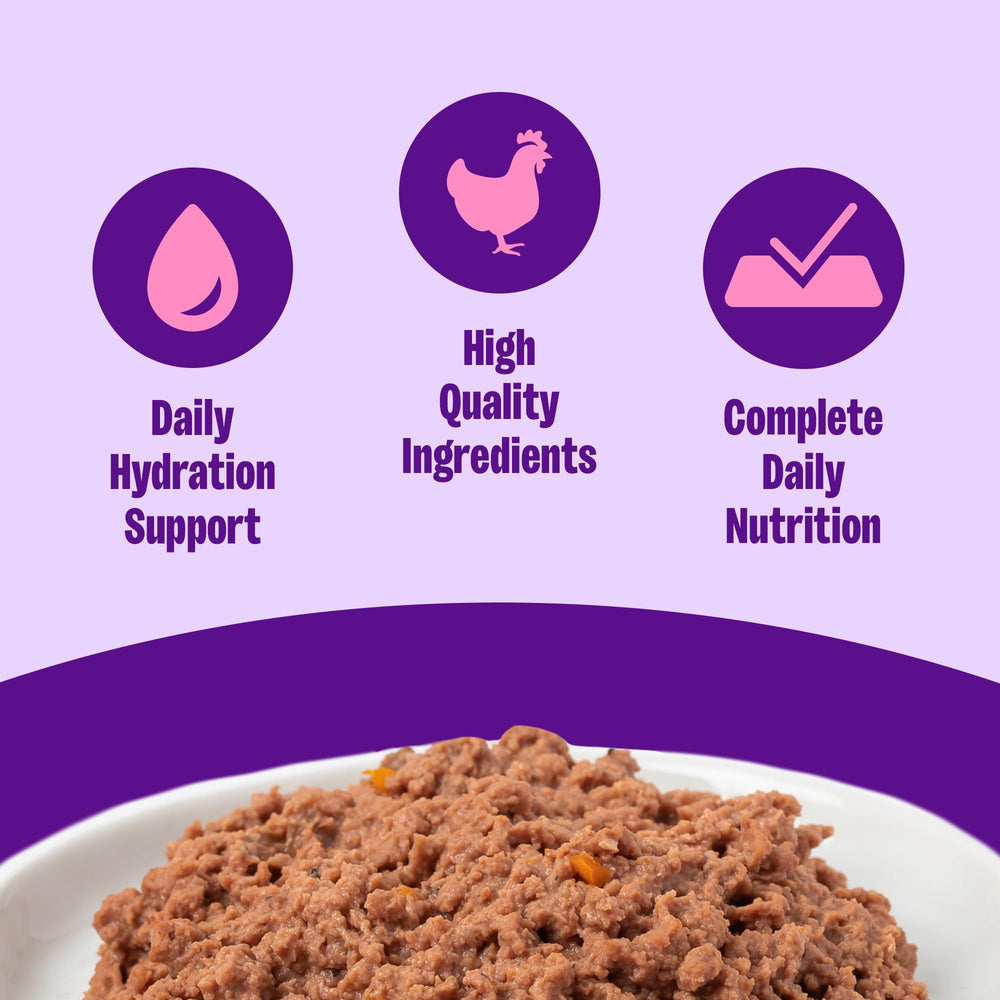 Wellness pâté ouverte gros plan texture lisse appétence renforcée