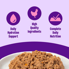 Gros plan pâté Wellness montrant texture lisse et appétence pour chat