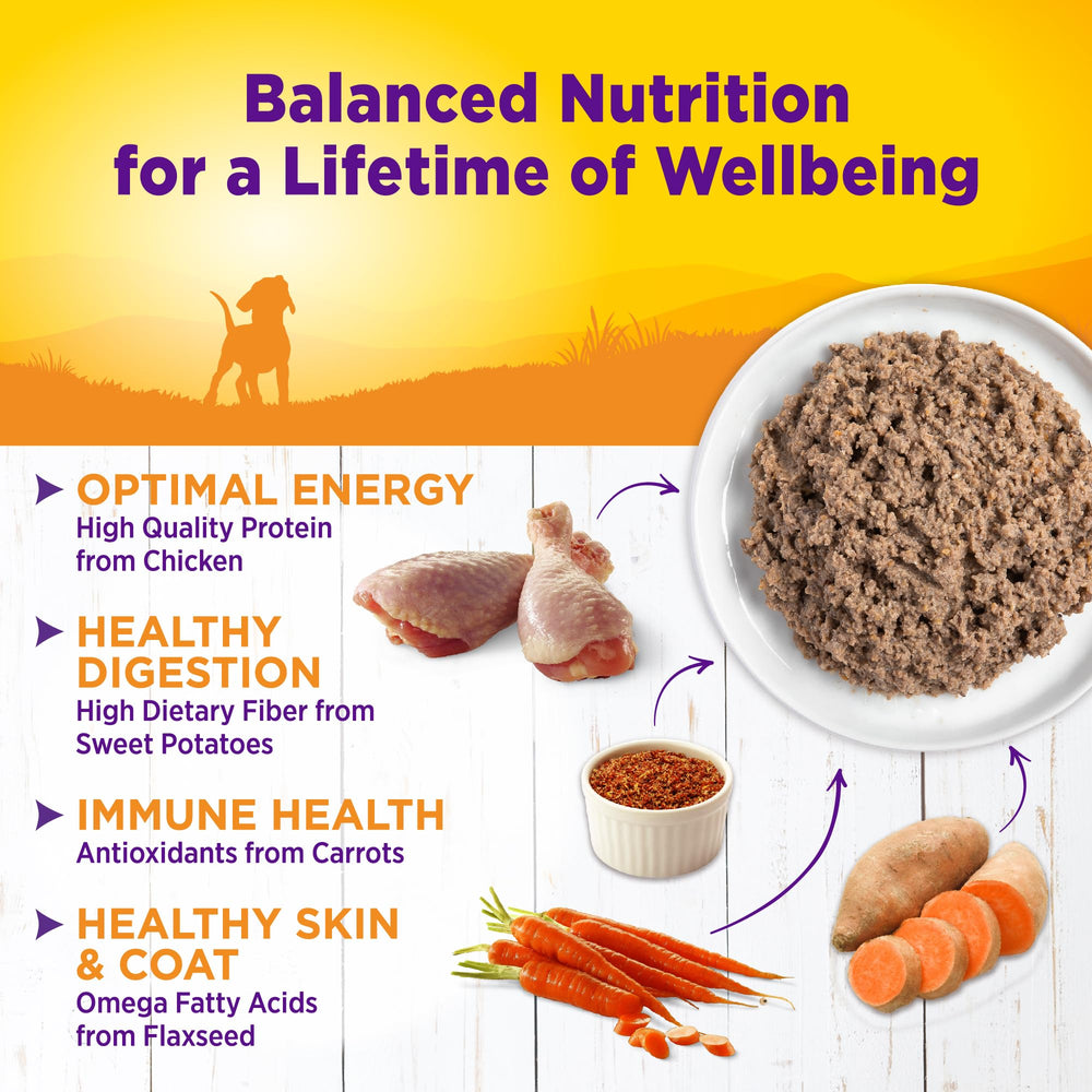 Wellness pâté chiot filet de saumon pour oméga et soutien cognitif