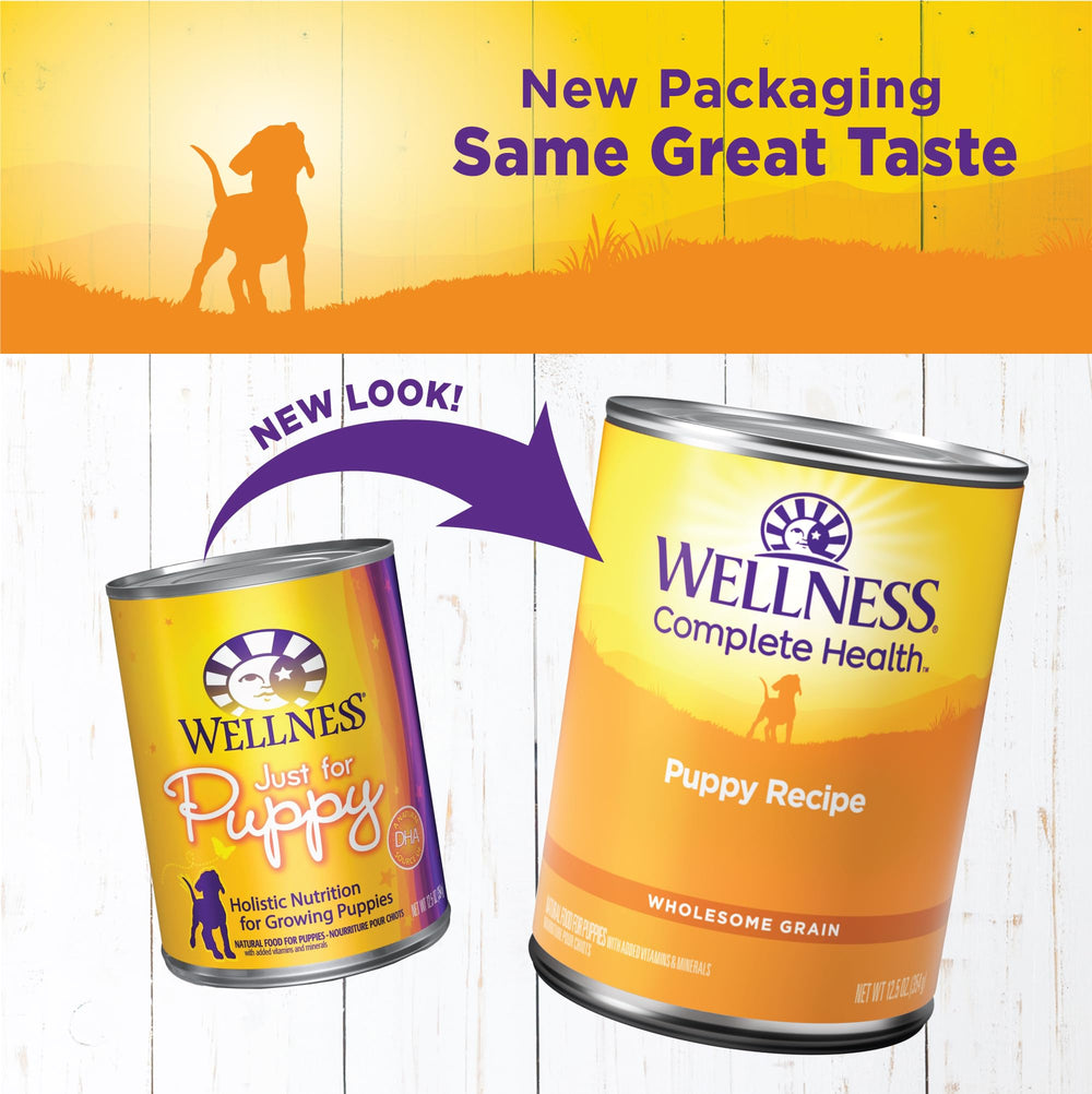 Wellness pâté chiot texture lisse en gros plan pour facilité d'ingestion