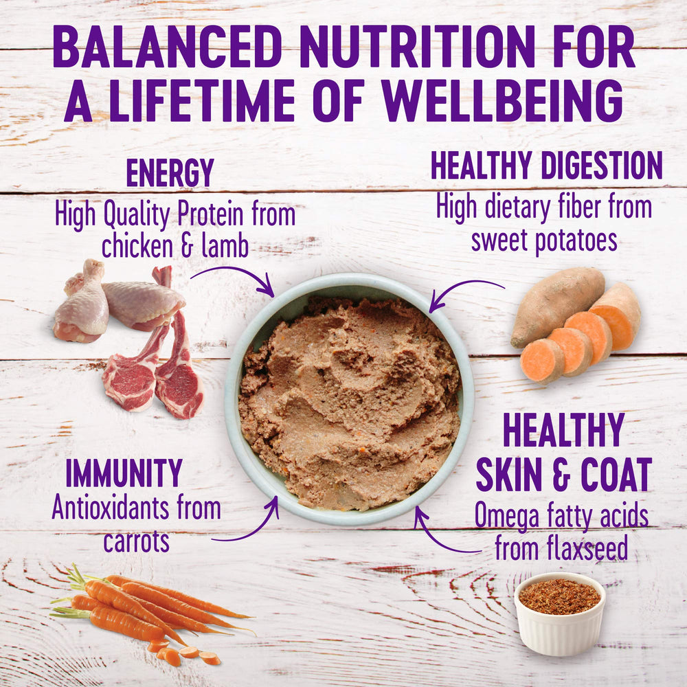 wellness gros plan sur texture pâté lisse, appétence et facilité de mastication