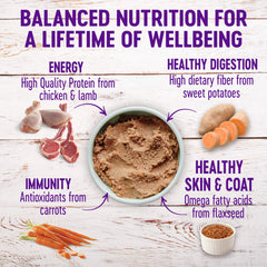 wellness gros plan sur texture pâté lisse, appétence et facilité de mastication
