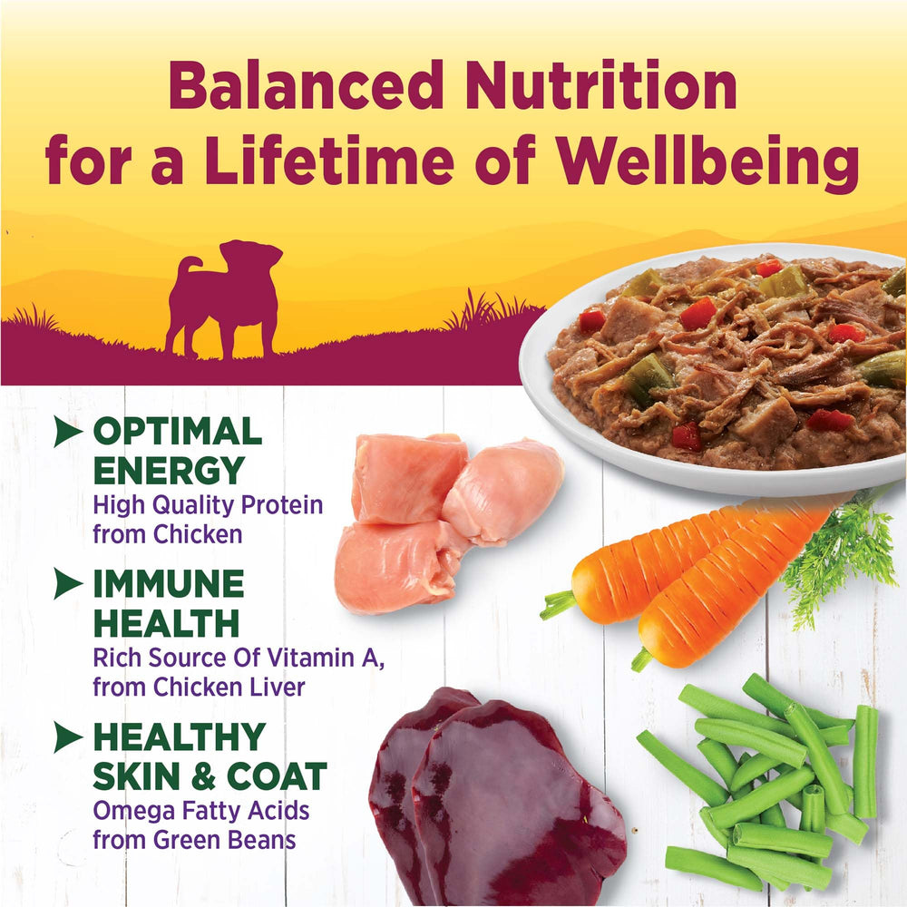 Wellness portion servie dans une gamelle illustrant facilité et appétence
