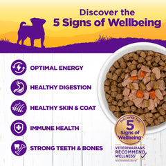 Wellness gros plan sur la texture des mini filets, tendreté visible et appétence