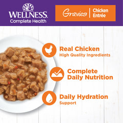 Wellness poulet en sauce présenté dans la boîte pour appétence accrue