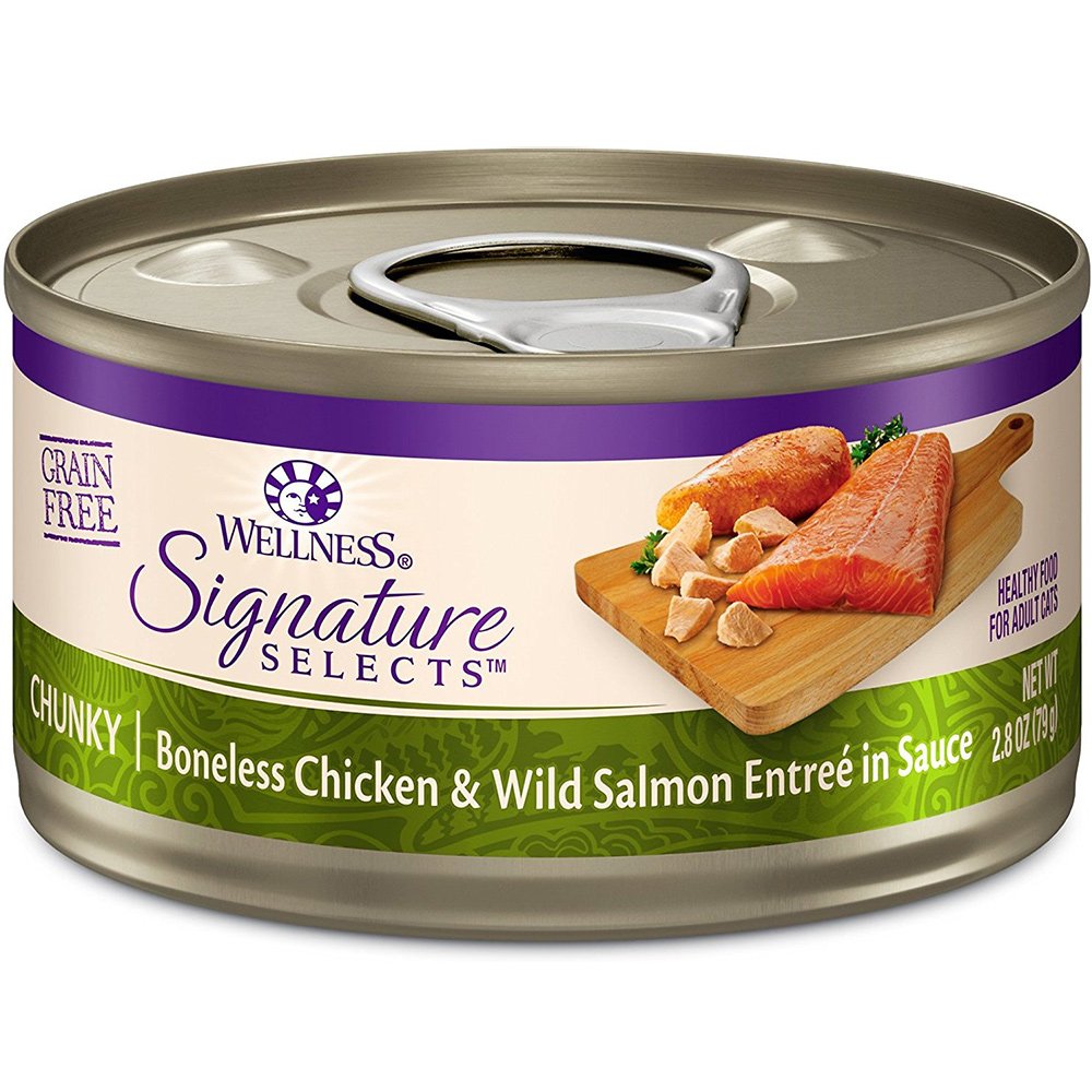 Boîte saumon ouverte Wellness révélant flocons en sauce