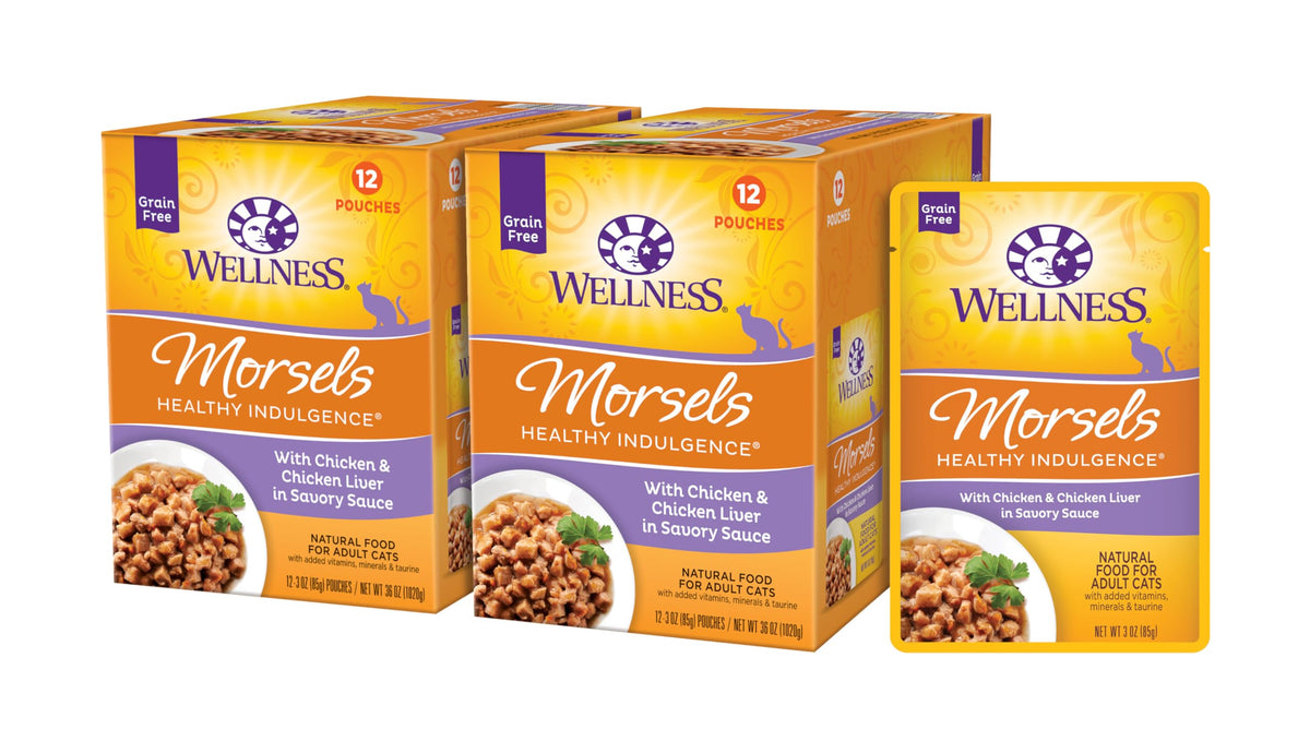 Wellness sachet devant montrant la portion pratique et l'attrait visuel