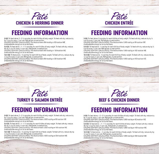 Wellness scène de vie chat mange pâté soulignant acceptation et satisfaction du chat