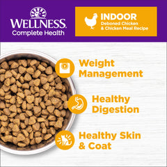 Wellness gros plan sur texture des croquettes pour appétence et mastication